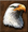 Basic eagle eye small.png